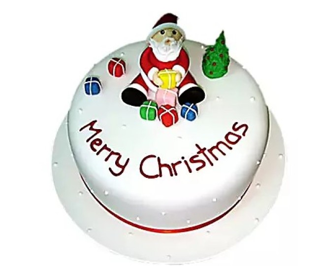 Designer Christmas cake2