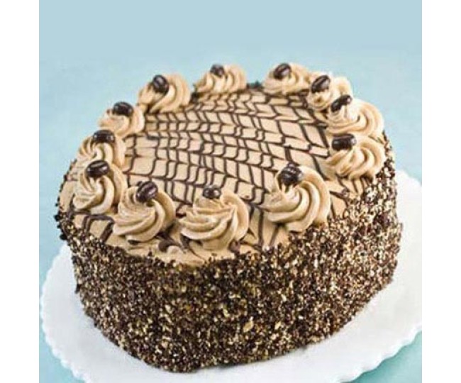 special delicious coffee cake 1kg_1 -