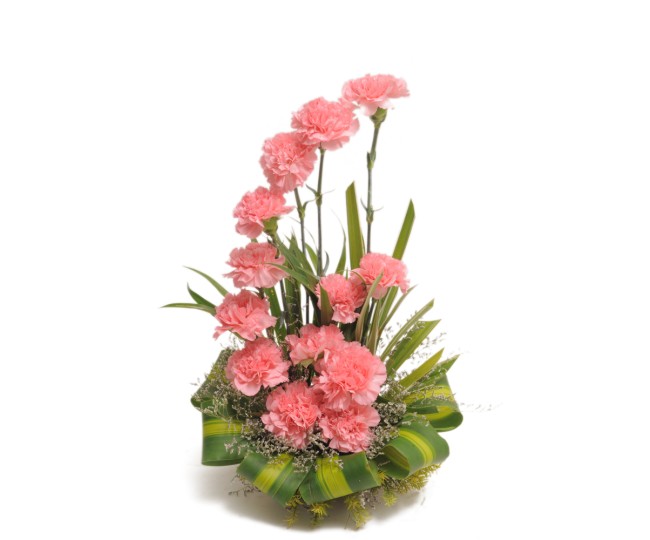 Bright Blush - Premium Carnations