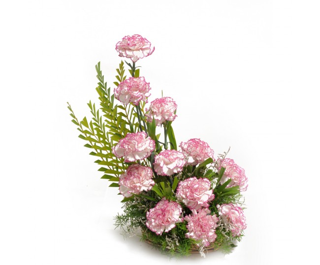 Double Shaded Carnations