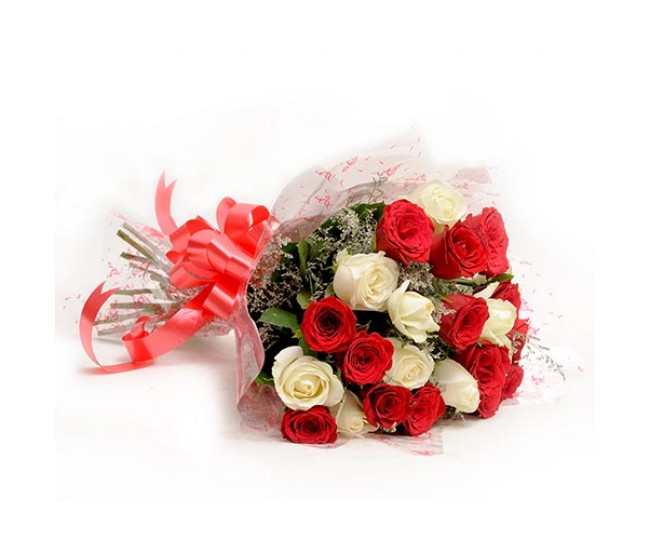 Red N White Roses EXDFNP576